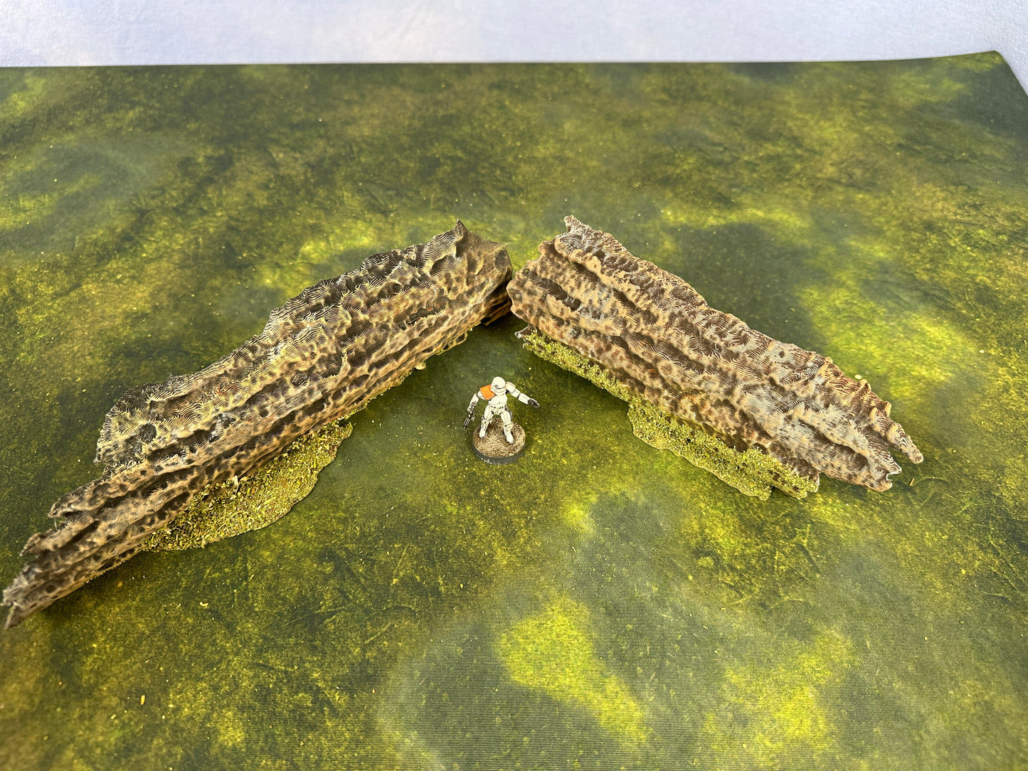 Forest Fallen Tree - LegionTerrain