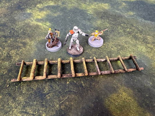 Forest Village Ladder