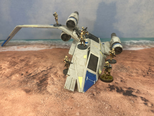 Crashed Rebel Spy Ship