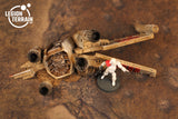 Crashed Rebel Fighter B - LegionTerrain